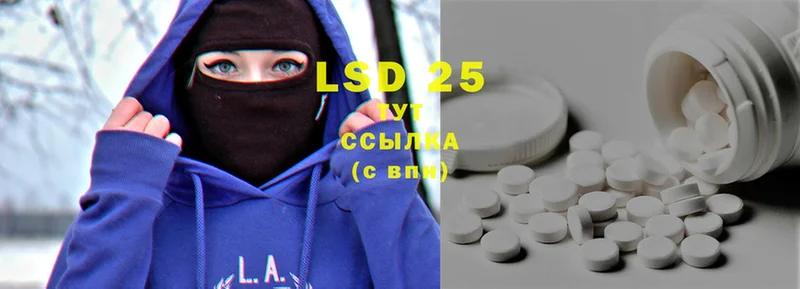 дарнет шоп  Кедровый  Лсд 25 экстази ecstasy 